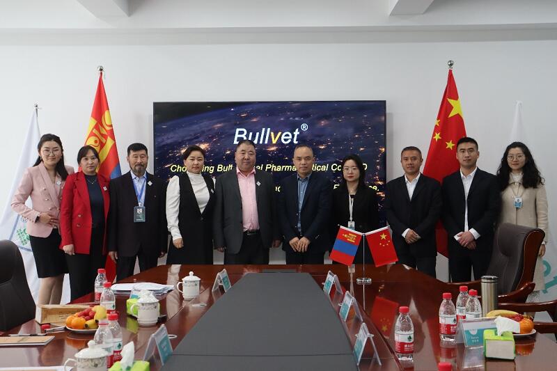 Bullvet Deepen High-Level International Cooperation 第 1 张 Bullvet Deepen High-Level International Cooperation 第 1 张