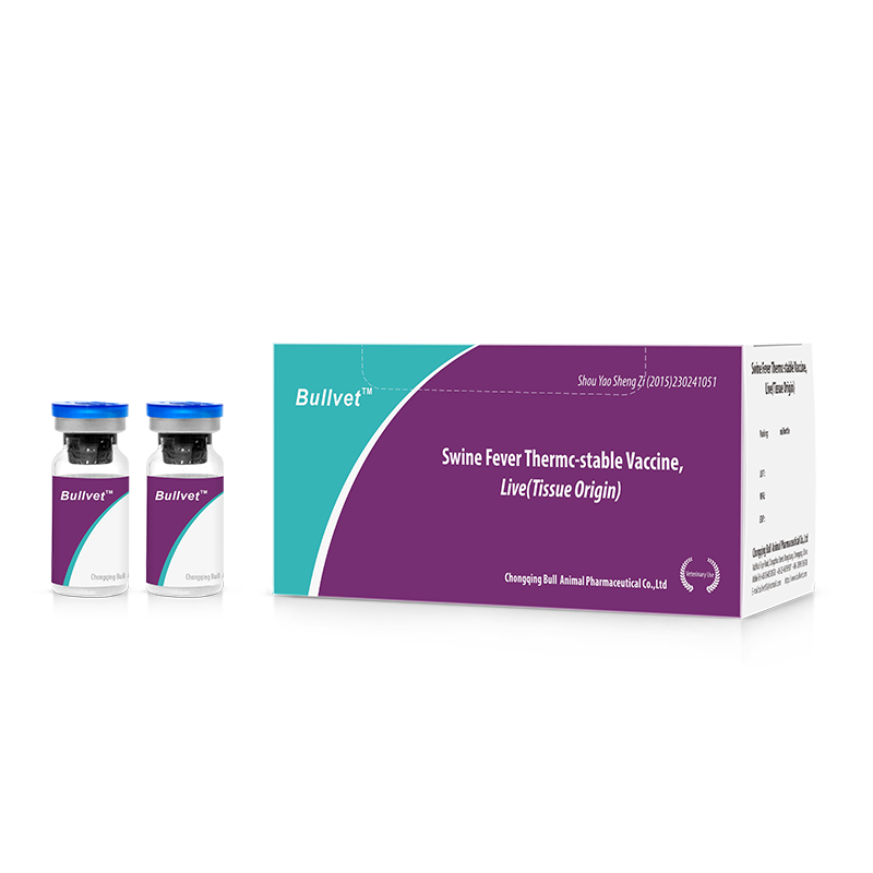 Swine Fever Thermc-stable Vaccine, Live(Tissue Origin)